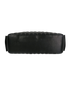 CC Chain Camera Bag, top view